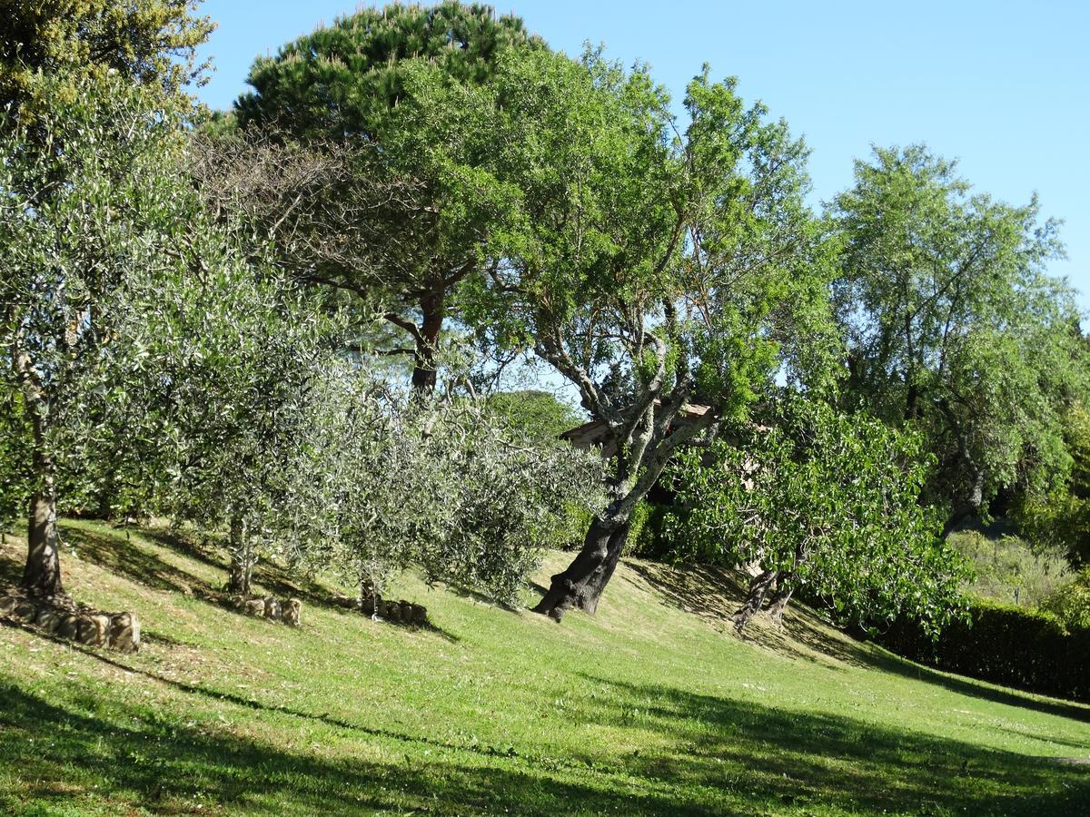 Santa Maria Della Pace Bed & Breakfast Montespertoli Bagian luar foto