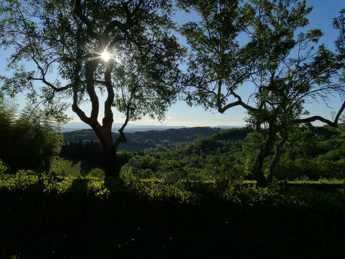Santa Maria Della Pace Bed & Breakfast Montespertoli Bagian luar foto